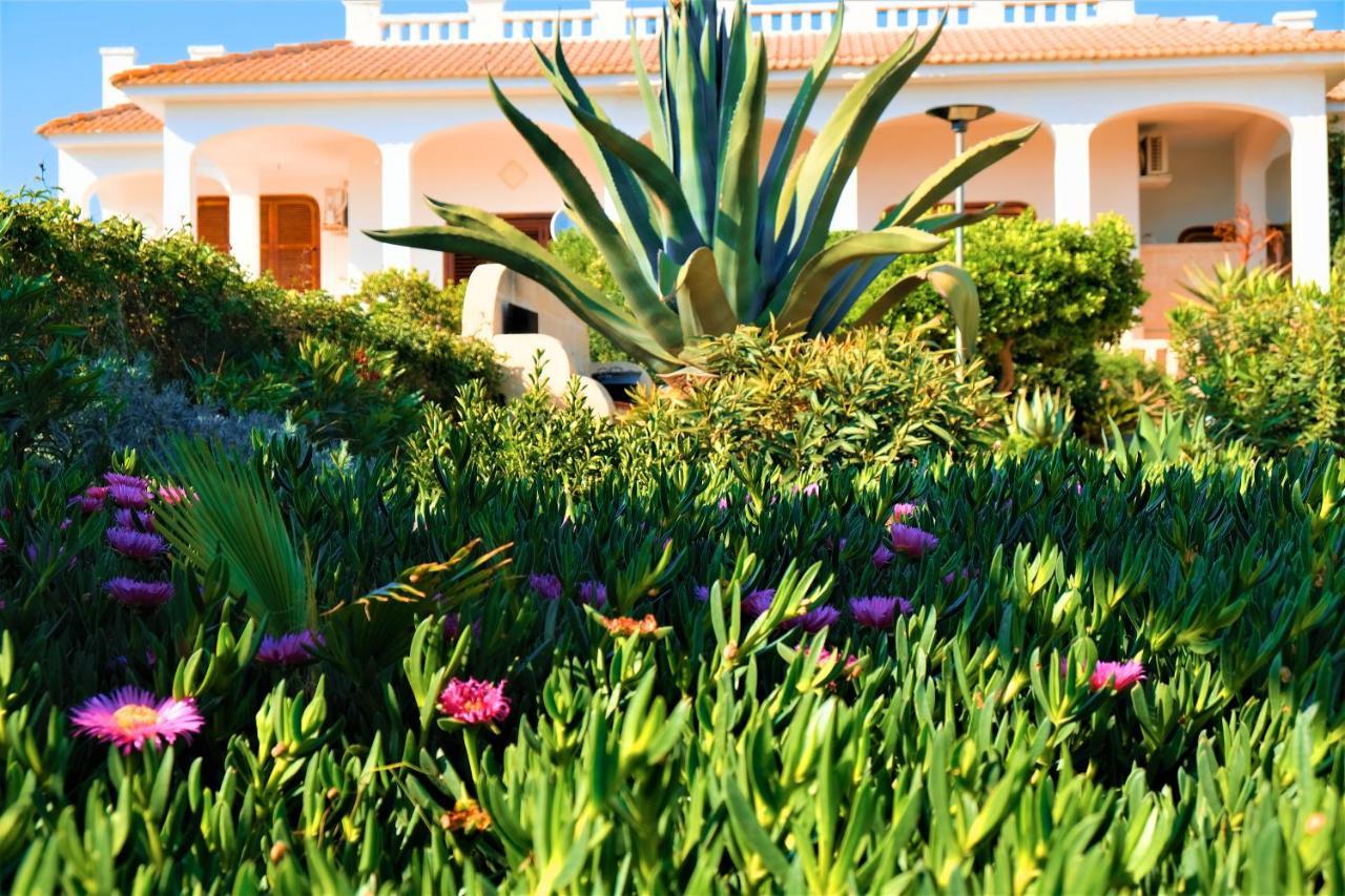 Villa Sette Nani Torre Lapillo Zewnętrze zdjęcie